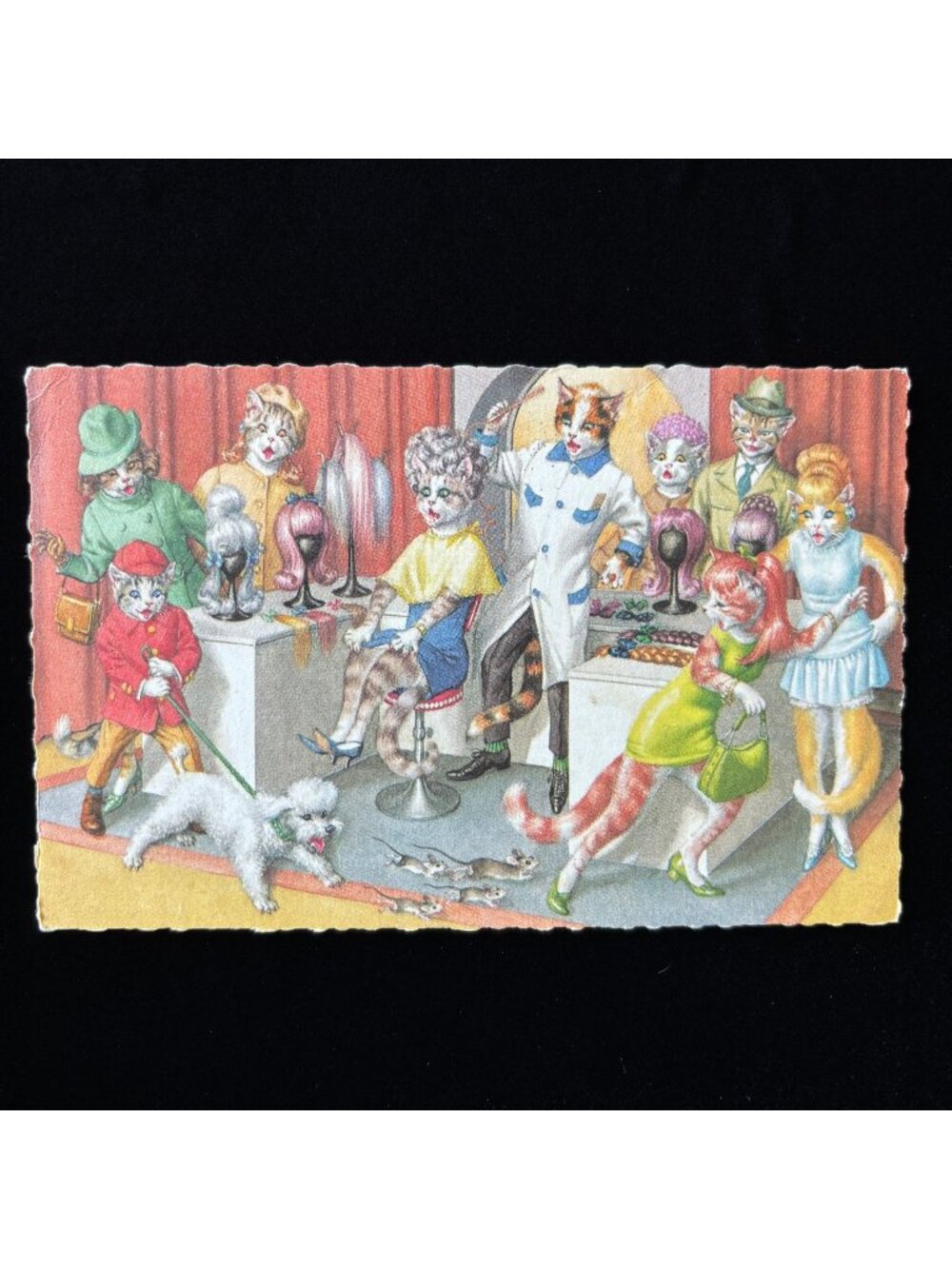 Vintage Postcard 1970 Epidemic Post Alfred Mainzer Cat Hair Salon Mice Poodle
